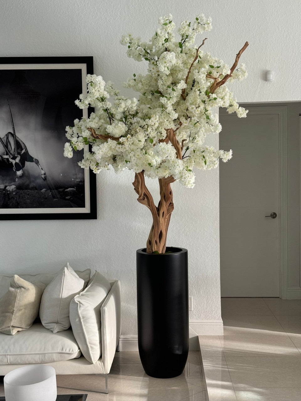 Matte Black St. Tropez Planter with Custom Made White Cherry Blossom Tree