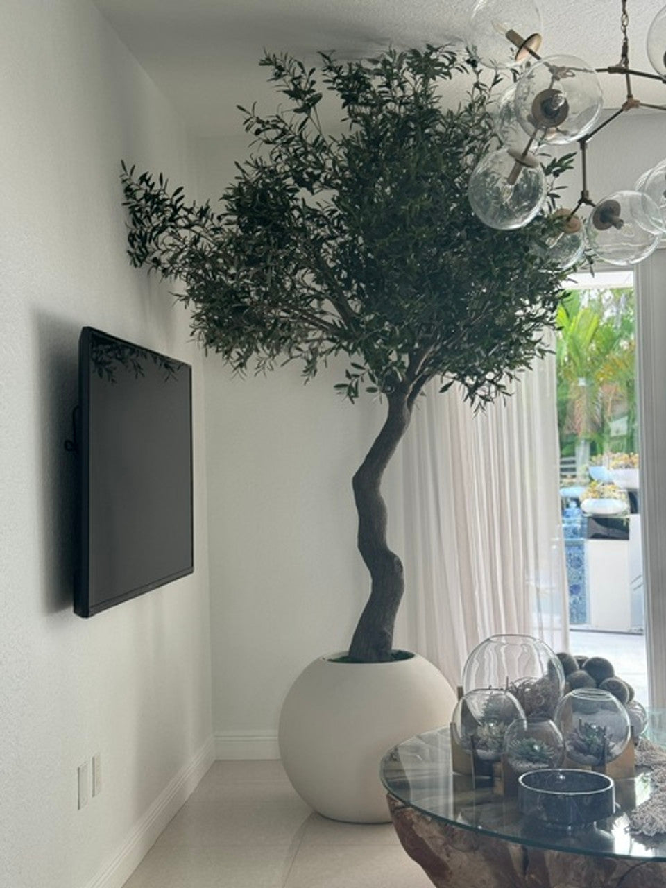 7' Olive Tree in Matte Beige 76 cm Globe Planter