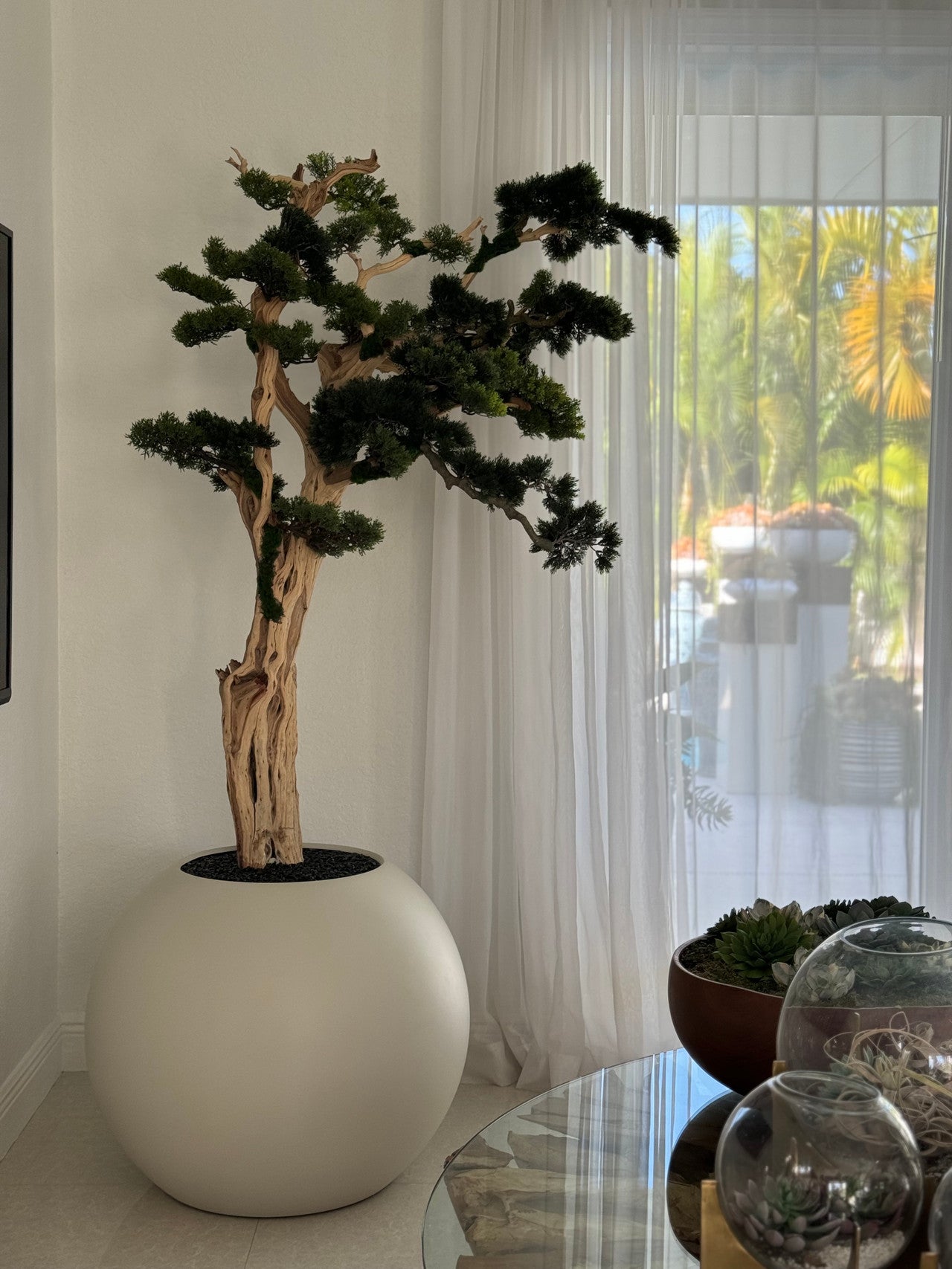 Semi-Cascade Bonsai in Satin Beige  Globe Planter