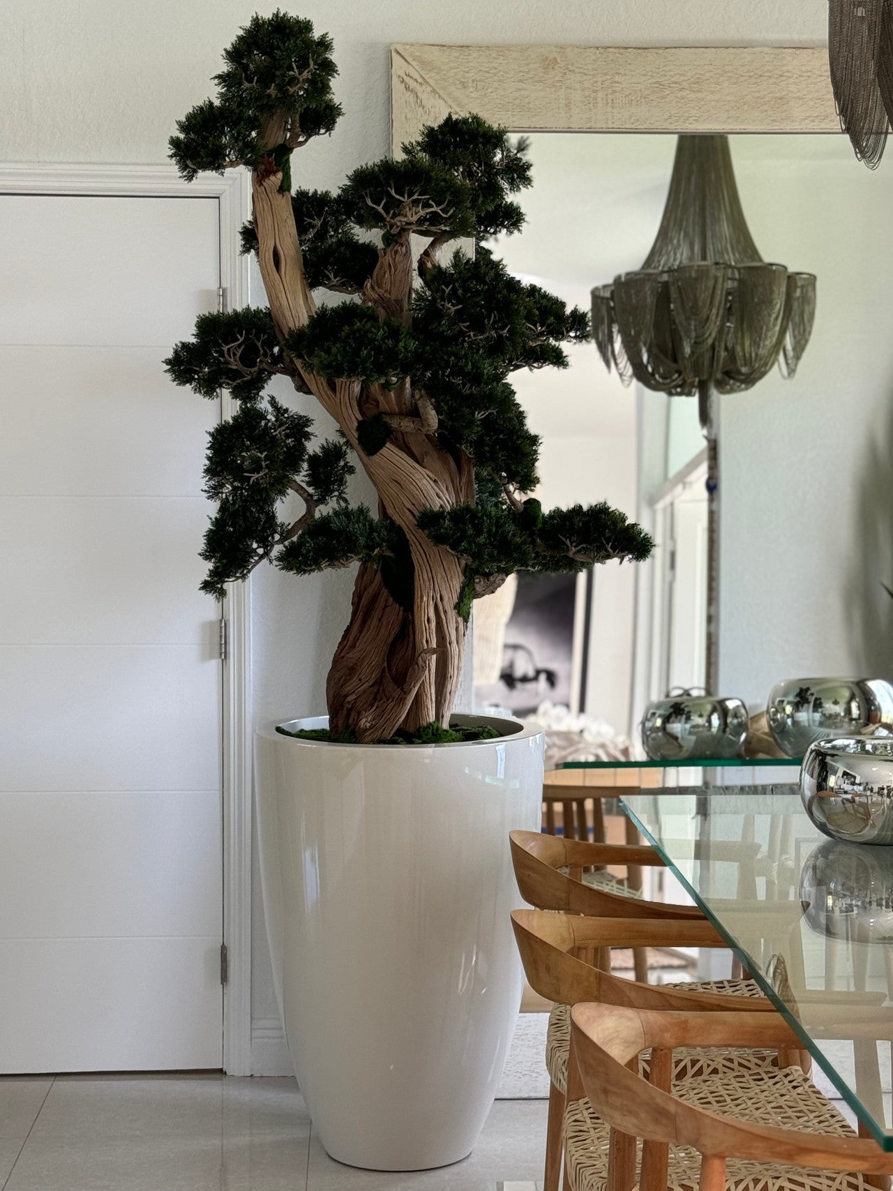 Oversized Bonsai in Brannan Planter